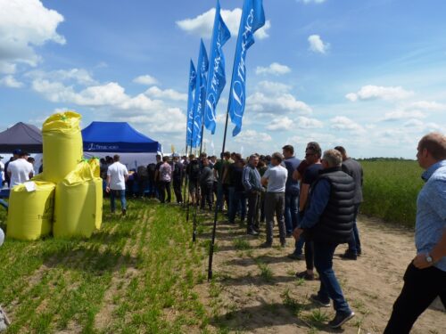 Timac Agro Polska, Panorama pól Timac Agro Polska, Śrem, biostymulatory