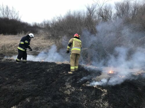 kary za wypalanie traw, ministerstwo klimatu i środowiska, przestępstwa przeciwko środowisku