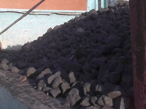 sprzedaż węgla, oszustwa w internecie, gmina Działdowo, sadownistwo, iogrodnictwo