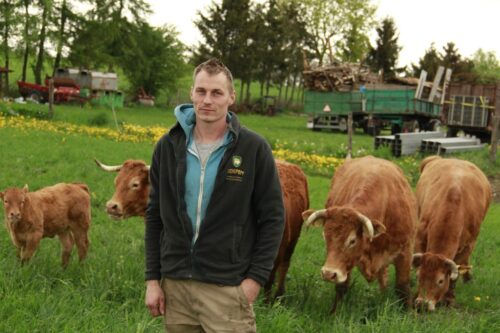produkcja wołowiny ekologicznej, RHD, sprzedaż bezpośrednia, hodowla bydła limousine, Cieślińscy,