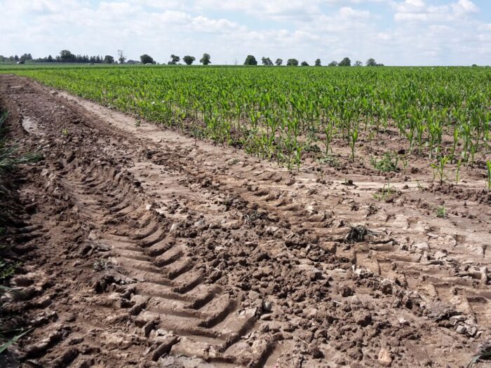 ceny ziemi ornej, ARiMR, GUS, linie kredytowe dla rolników