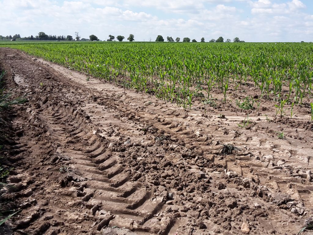ceny ziemi ornej, ARiMR, GUS, linie kredytowe dla rolników