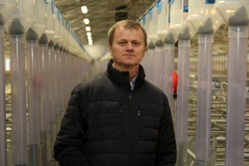 hodowca świń, maciory, lochy, prosięta, trzoda chlewna, chlewnia, porodówka, odchowalnia, Agri Plus, Terraexim Agroimpex