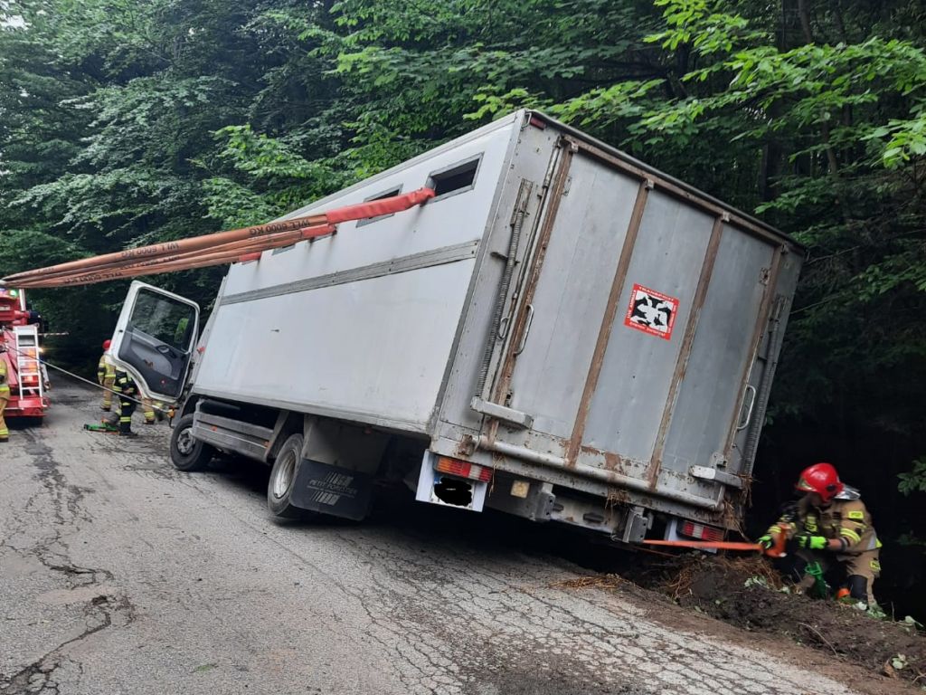 transport bydła, Klonów, Rafał Maciejczak, Inspekcja Weterynaryjna