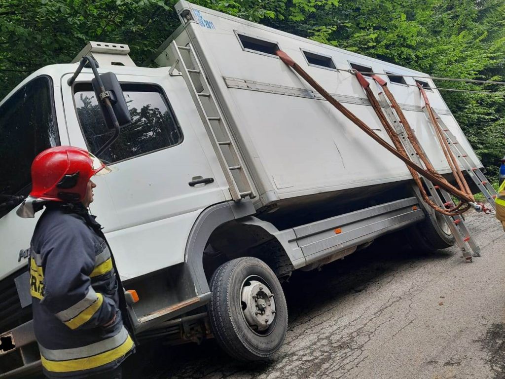 transport bydła, Klonów, Rafał Maciejczak, Inspekcja Weterynaryjna