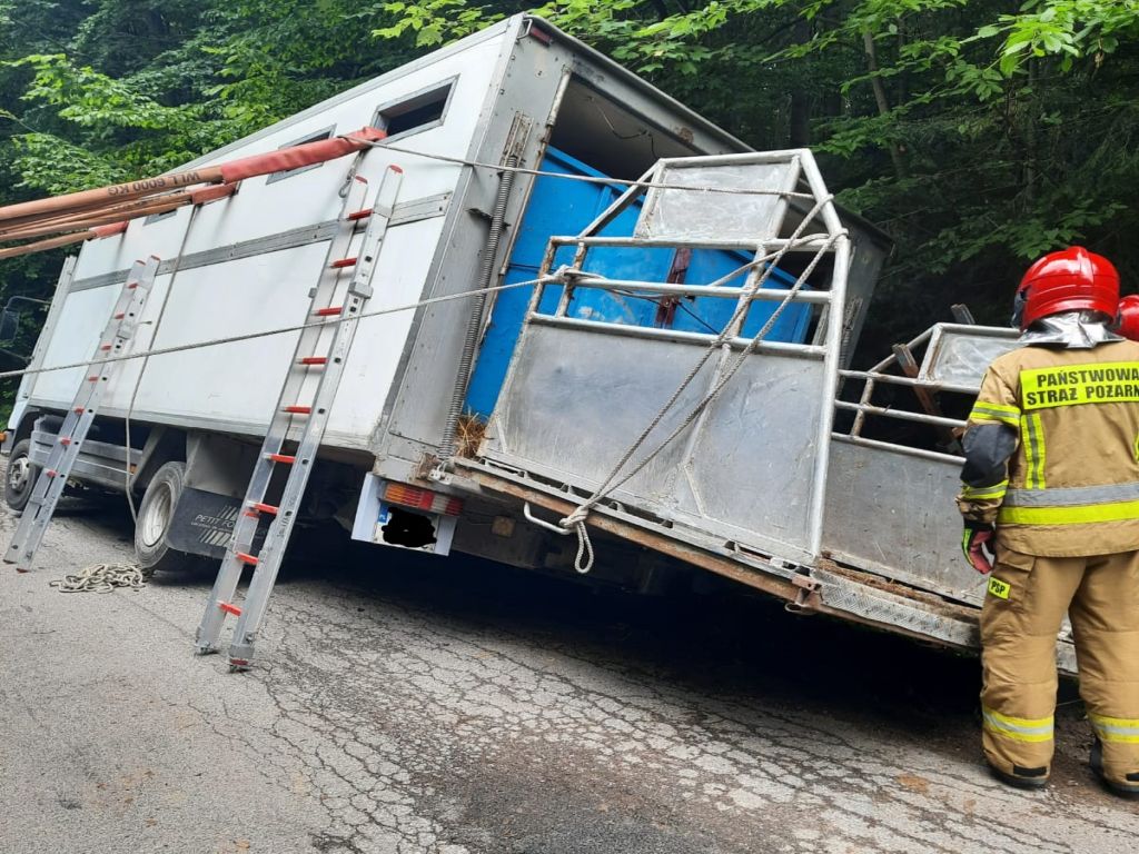 transport bydła, Klonów, Rafał Maciejczak, Inspekcja Weterynaryjna