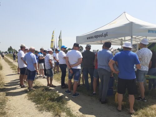 Panorama Pół TimacAgro, TimacAgro, Dębno, Marcin Weremczuk, Witold Szczepaniak