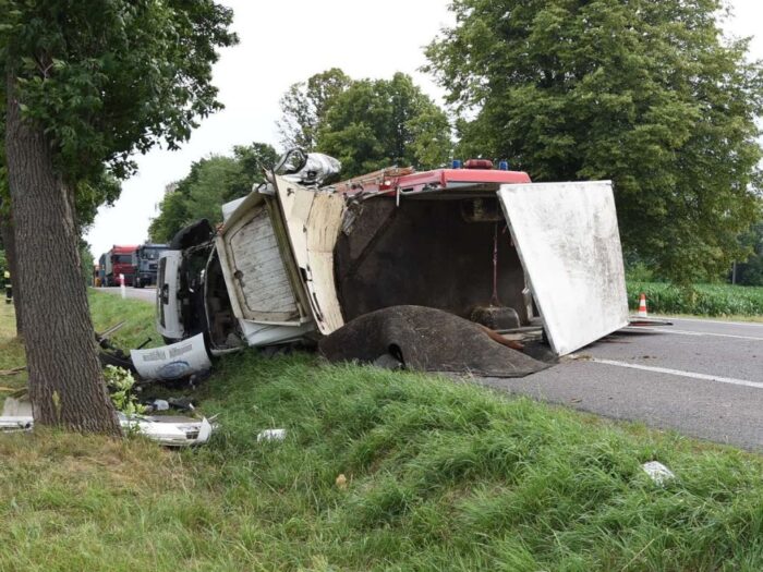 przewóz koni, Wólka Orłowska, powiat  krasnostawski, Piotr Wasilewski