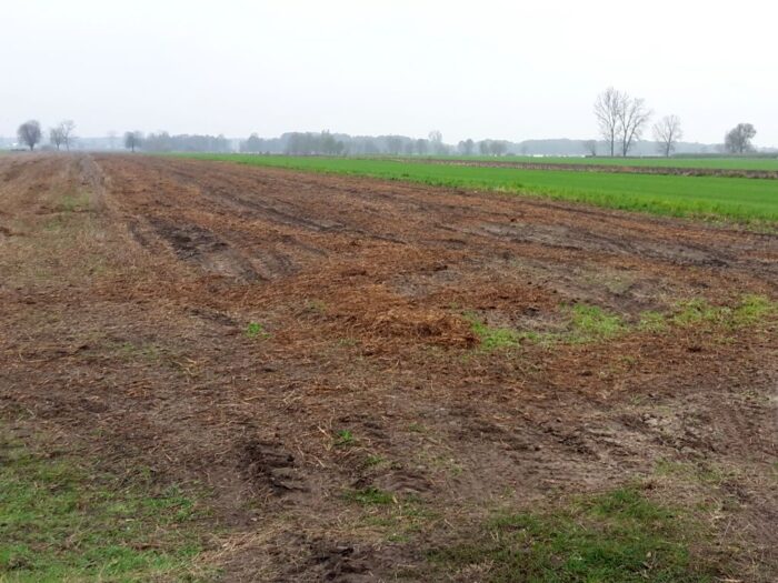 dopłaty bezpośrednie, płatności  obszarowe, ARiMR, wsparcie dla rolnictwa