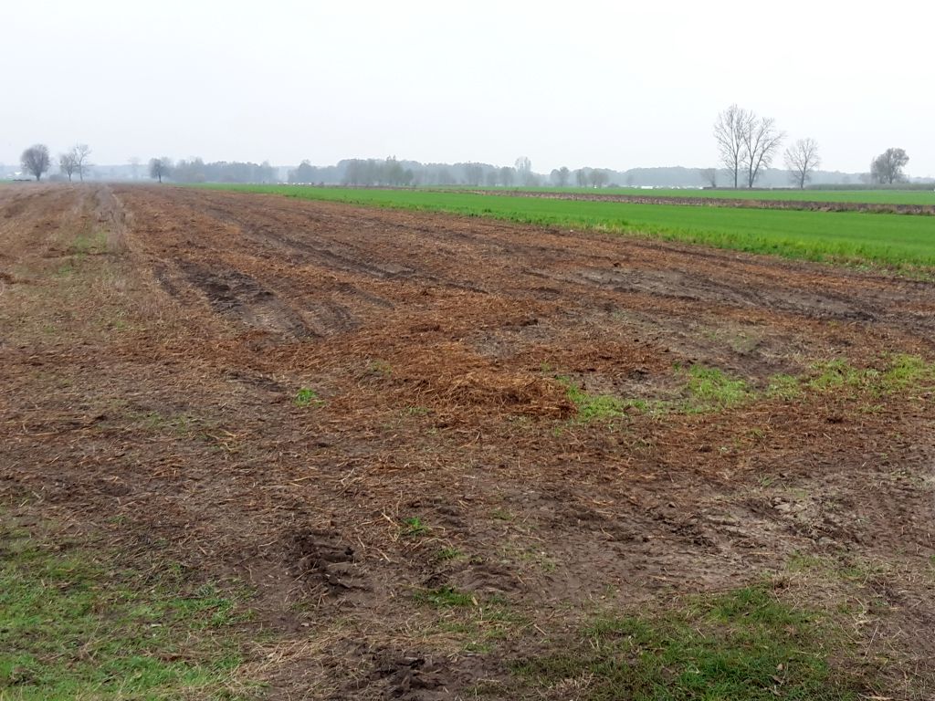 dopłaty bezpośrednie, płatności  obszarowe, ARiMR, wsparcie dla rolnictwa