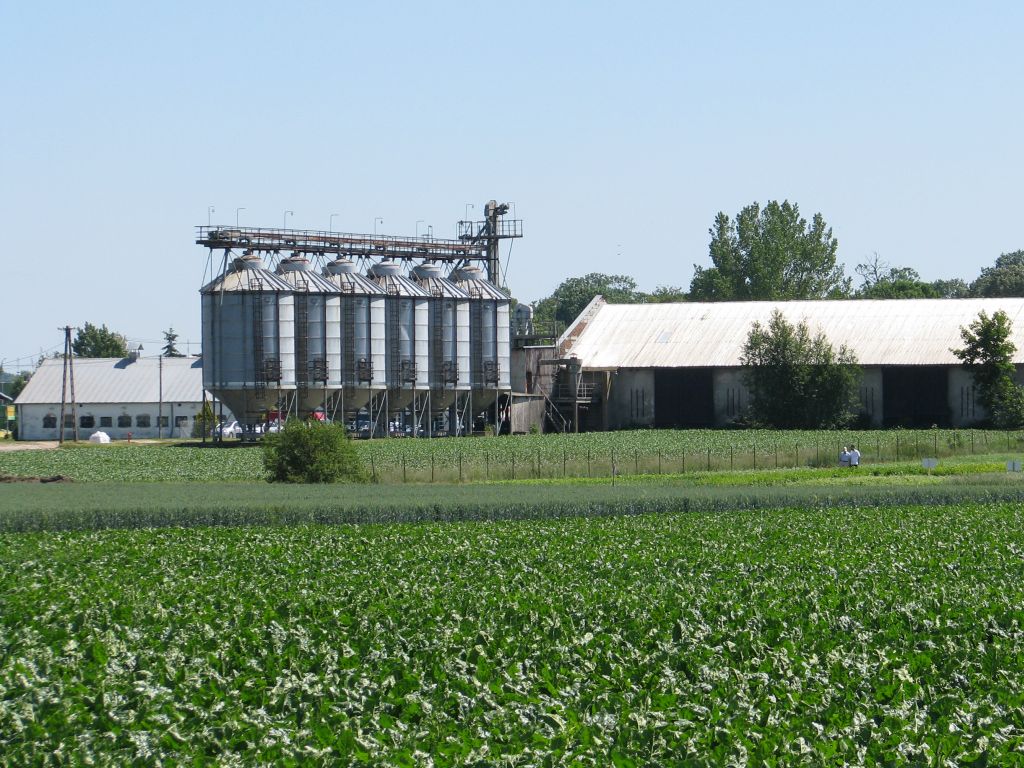 gospodarstwo, ubezpieczenia