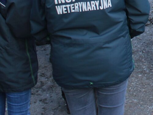 lekarze weterynarii, Inspkcja Weterynaryjna, Henryk Kowalczyk, płace w weterynarii