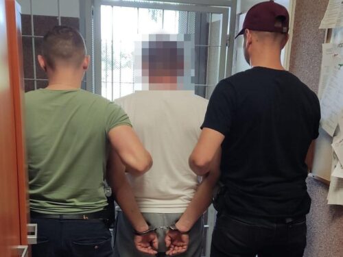 kłusownictwo, Park Krajobrazowy w Promnie, gmina Pobiedziska, Marta Mróz