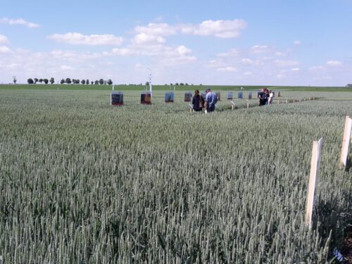 obiekty demonstracyjne