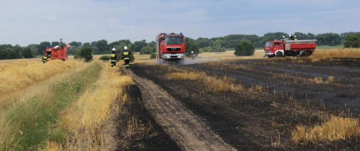 pożar zboża na polu, podpalenie zbóż, powiat gostyński, Marek Balczyński