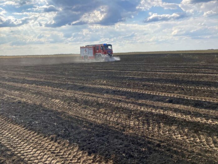 pożar zboża na polu, pożar sadu, Wielowieś, KP PSP Międzychód