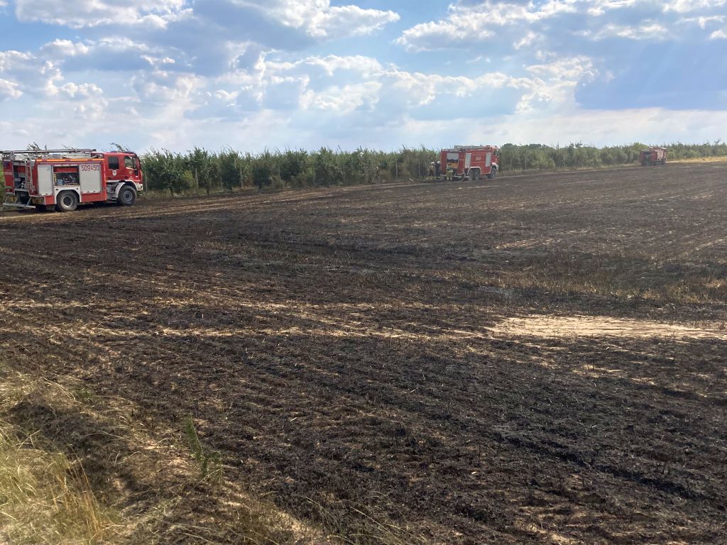 pożar zboża na polu, pożar sadu, Wielowieś, KP PSP Międzychód