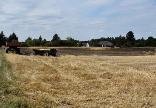 pożar zboża na polu, Zofijówka, powiat łukowski, Marcin Jóźwik