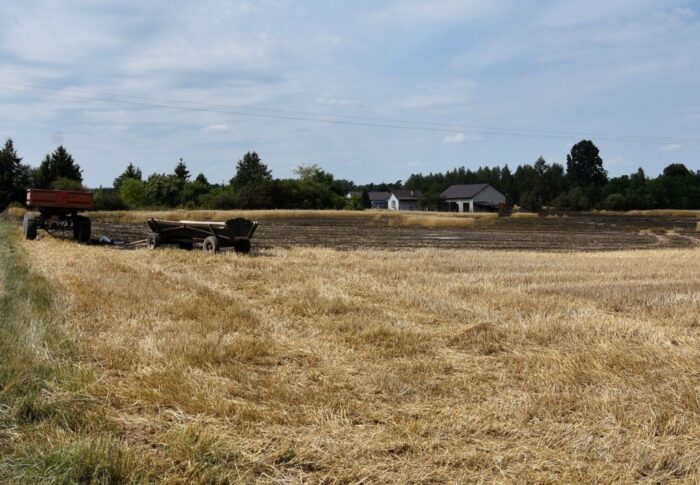 pożar zboża na polu, Zofijówka, powiat łukowski, Marcin Jóźwik