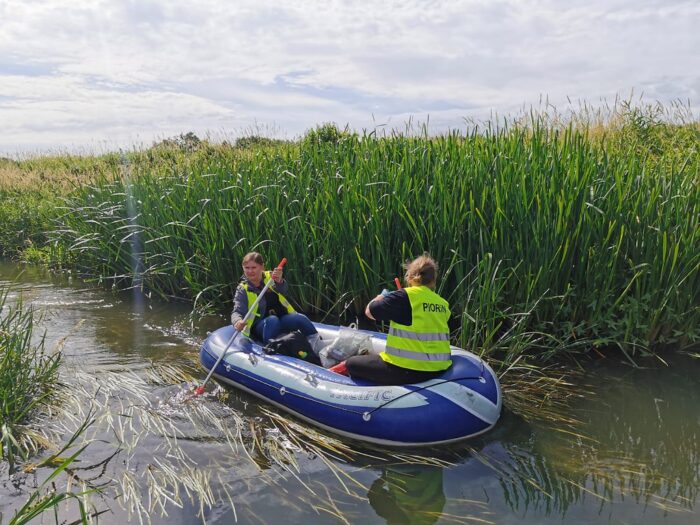 bakteria Ralstonia solanacearum, Widawa, Wilczyce, gmina Długołęka, WIORiN Wrocław