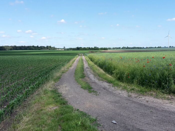 scalanie gruntów rolnych, Andrzej Duda, postępowanie scaleniowe, księgi wieczyste