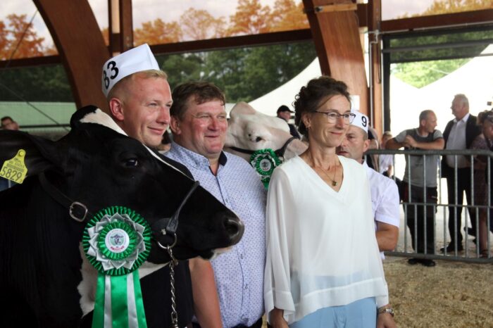 krowy mleczne, rasa PHF, bydło mleczne, wystawa bydła mlecznego, PFHBiPM, Artur Klupś, Dariusz Klupś, jałówki