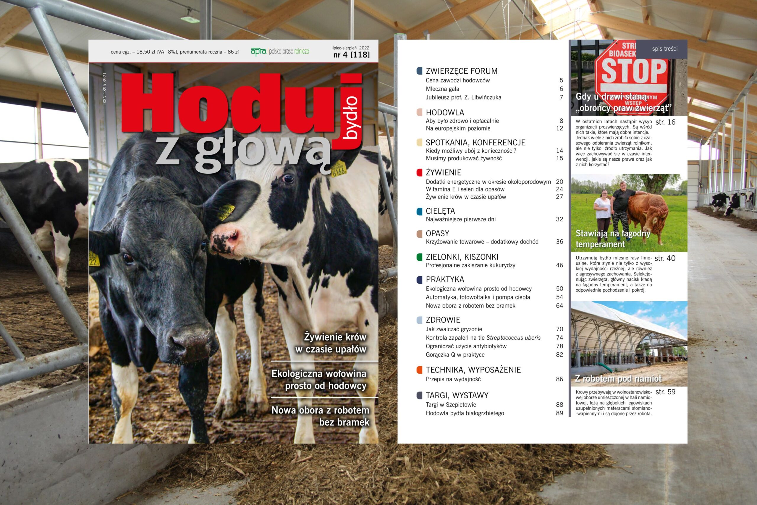 Hoduj z Głową Bydło, bydło mleczne, bydło mięsne, krowy mleczne, mamki, cielęta, jałówki, buhaje, opasy, żywienie bydła