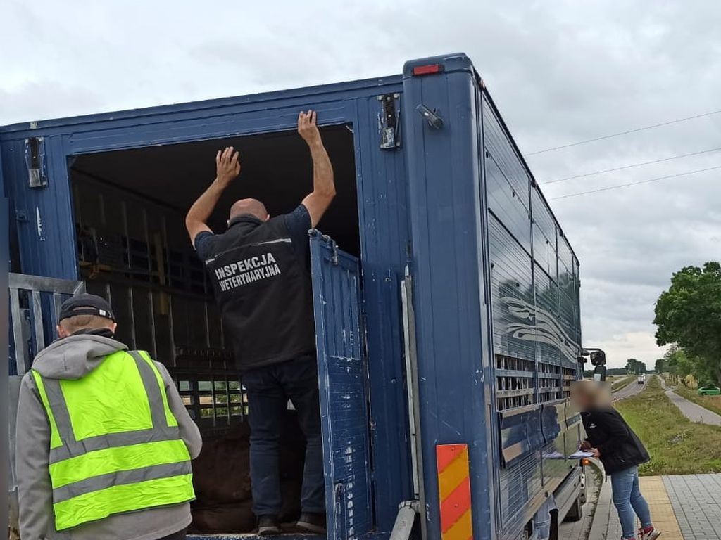 lekarze weterynarii, Inspkcja Weterynaryjna, Henryk Kowalczyk, płace w weterynarii