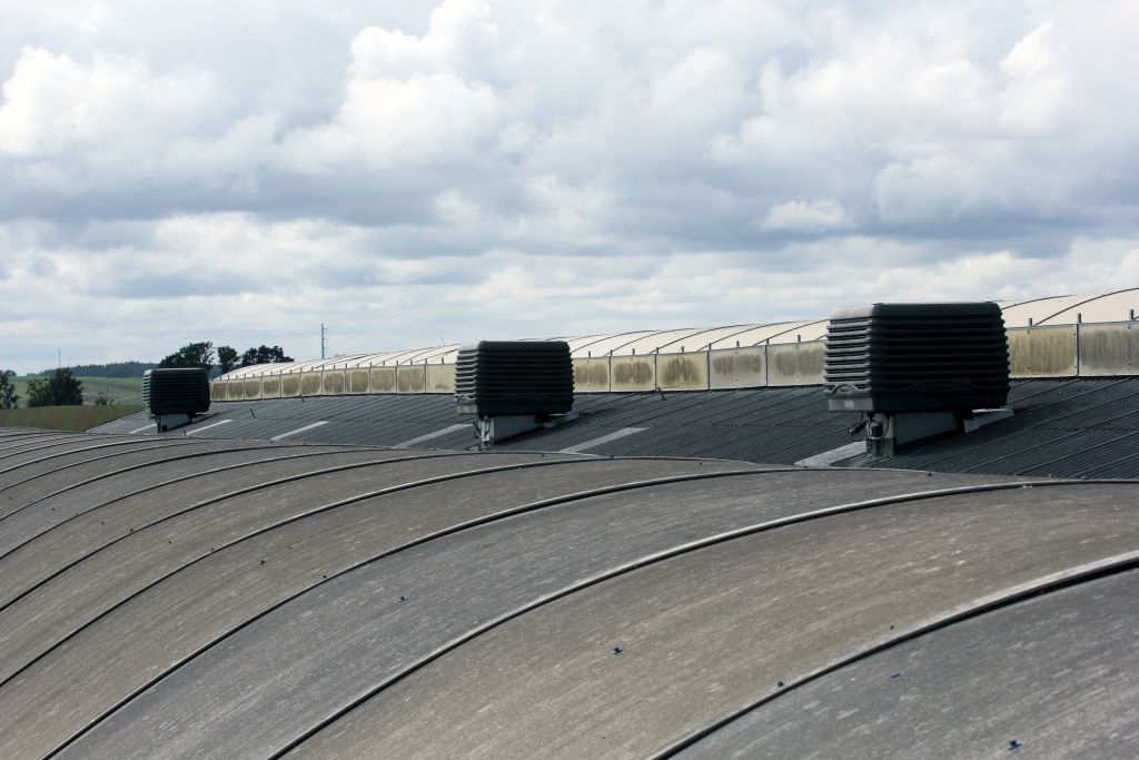 klimatyzacja wyparna, Agrofarm, klimatyzator, pompa wodna, schładzanie krów, wydajność mleczne, stres cieplny u krów