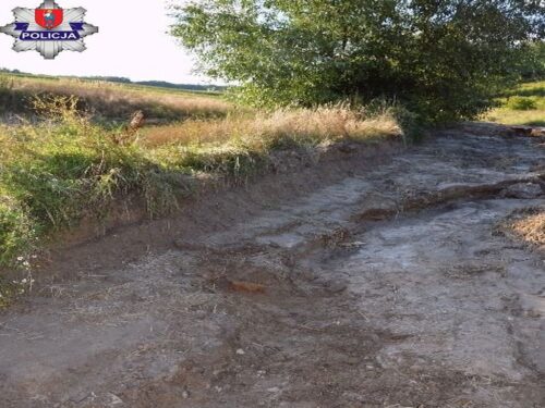 ludzkie kości wśród pól uprawnych, Lipina Nowa, powiat zamojski, Katarzyna Szewczuk