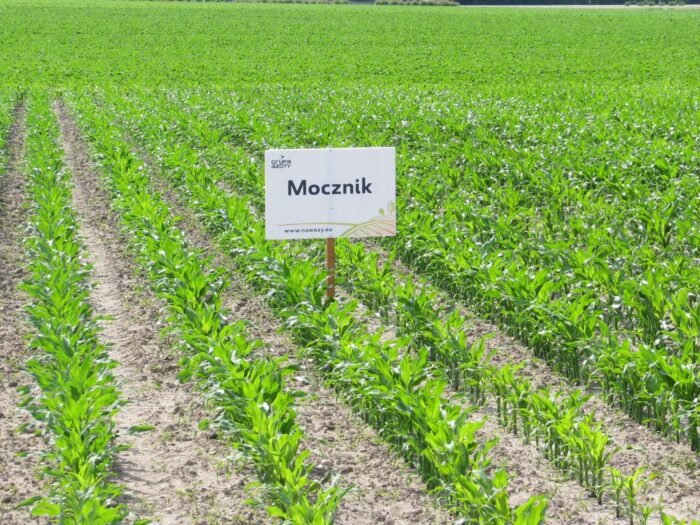 Stanisław Kacperczyk, PZPRZ, nawożenie, Anna Gembicka