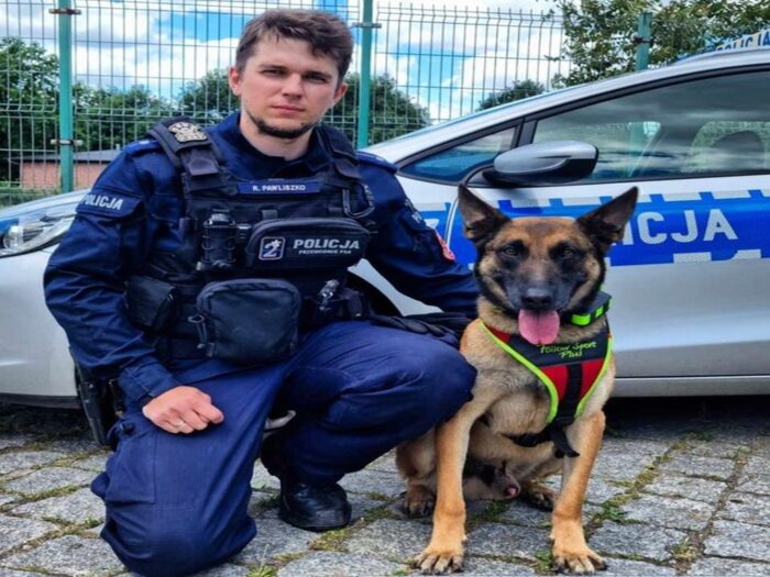 kradzież ładowarki, owczarek belgijski Lonar, Robert Pawliszko, Aleksandra Rodecka