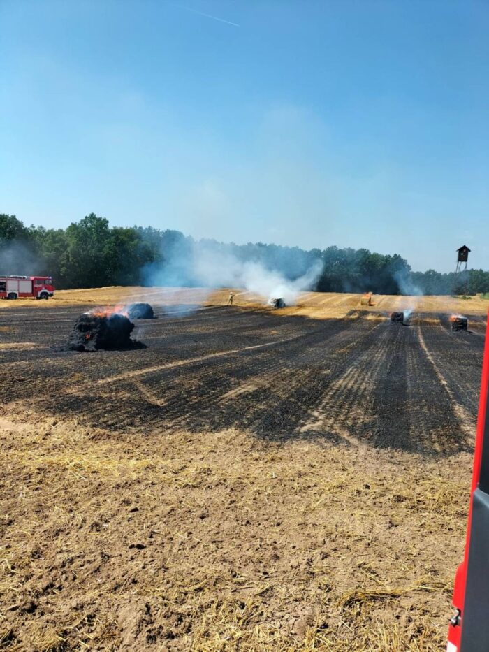 pożary upraw rolnych, PSP, Karol Kierzkowski, Płonno, Koryta