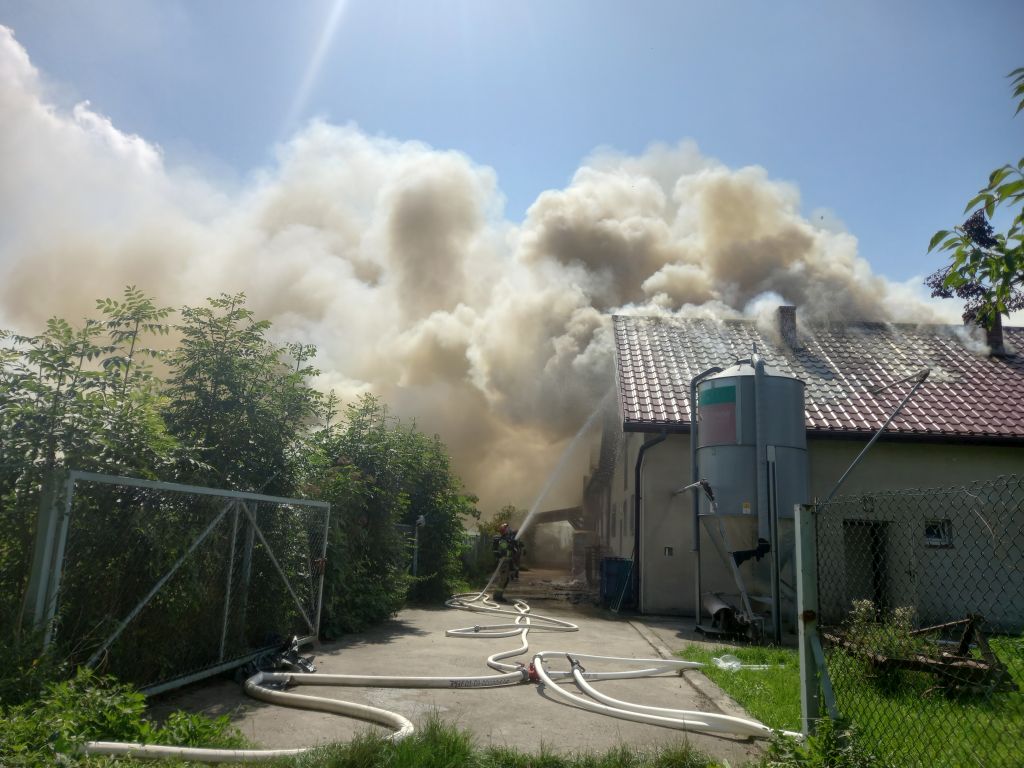 pożar kurnika, pożar chlewni, Górka Stogniowska, Borki
