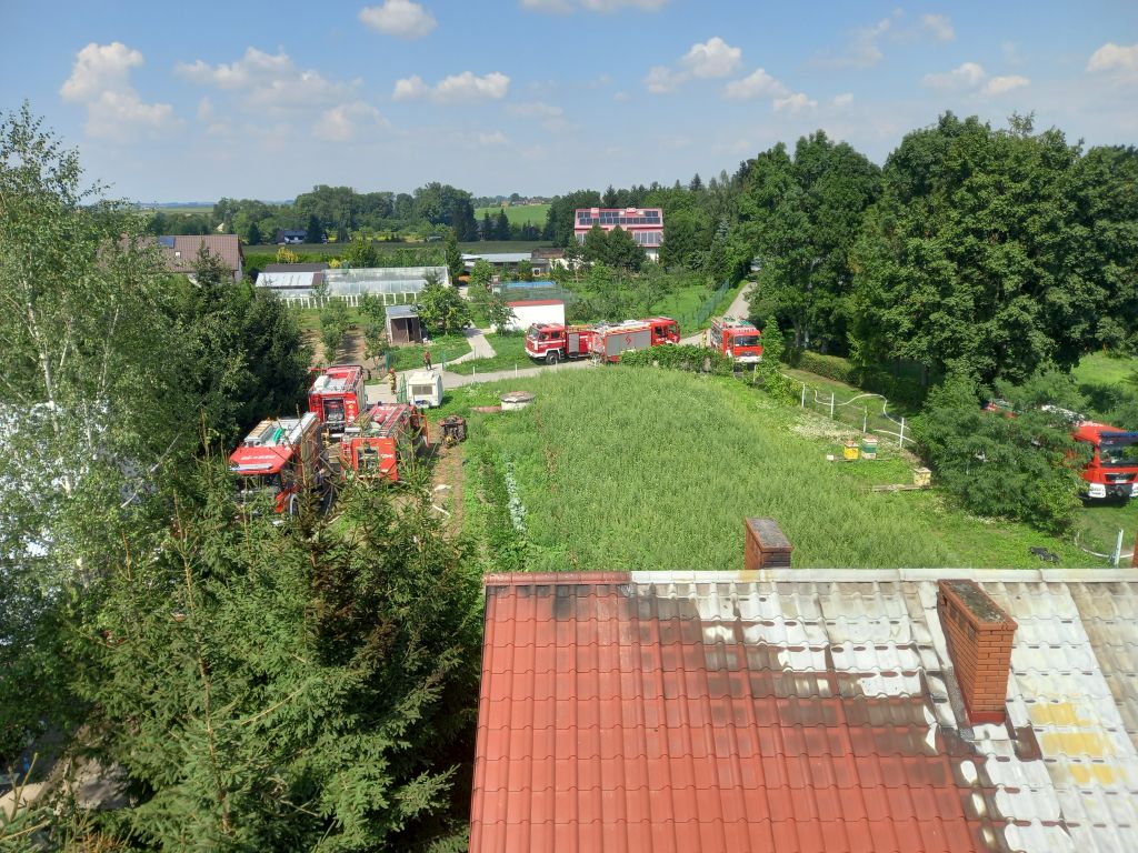 pożar kurnika, pożar chlewni, Górka Stogniowska, Borki
