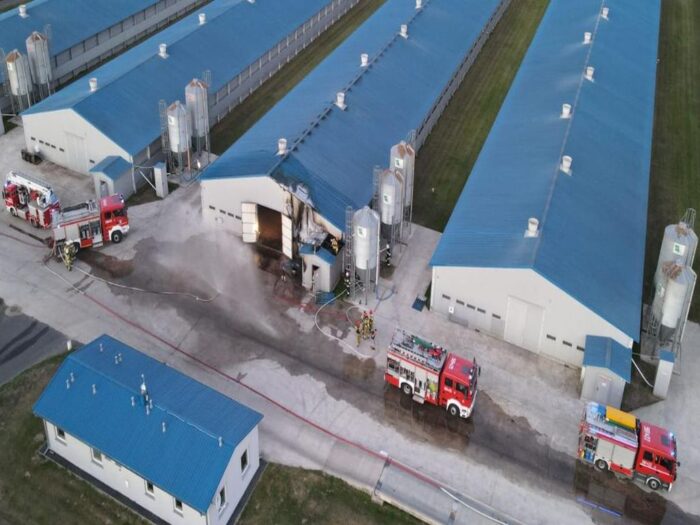 pożar kurnika, pożar chlewni, Górka Stogniowska, Borki