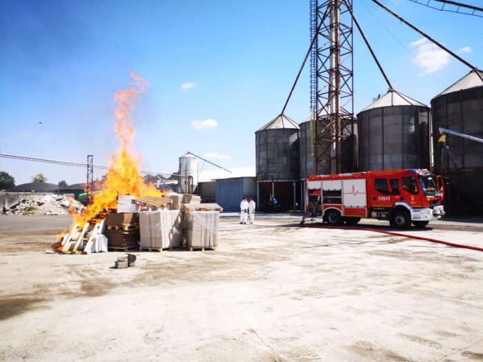 walka z ptasią grypą w Polsce, hodowla drobiu, powiat ostrzeszowski, Noemi Biel, Giżyce