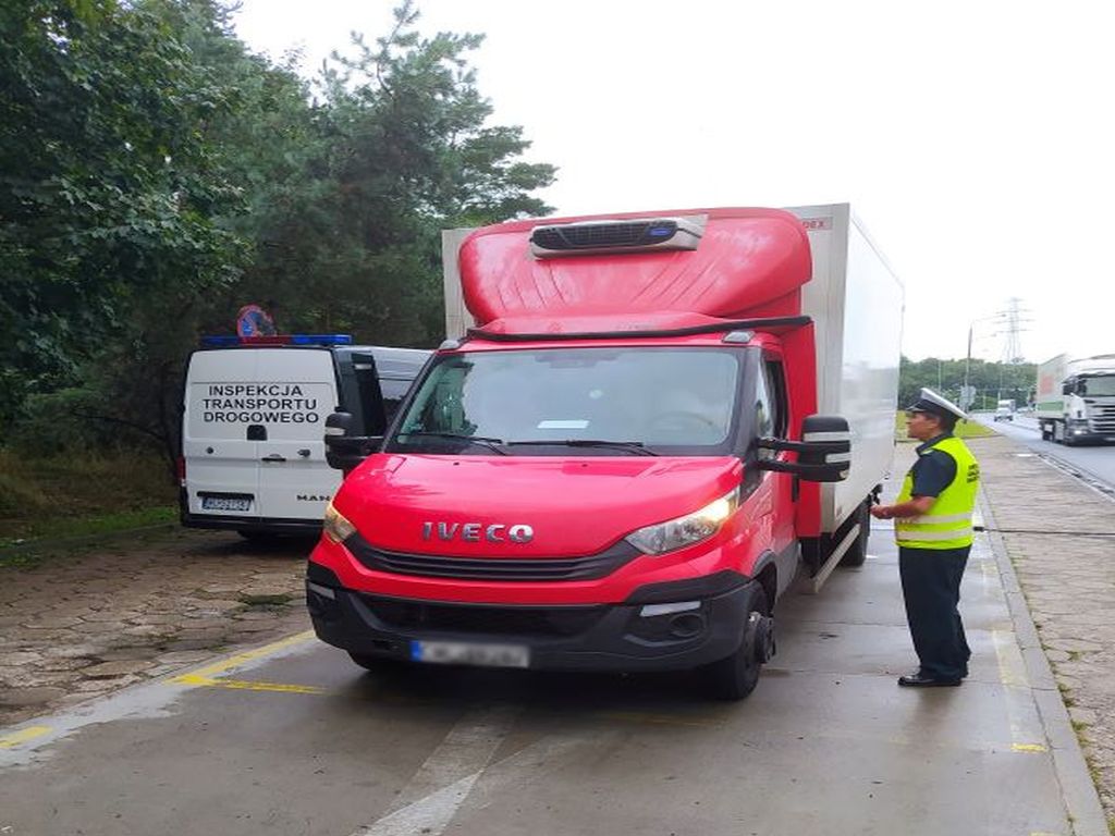 transport artykułów spożywczych, transport zwierząt, ijhars, WITD Bydgoszcz
