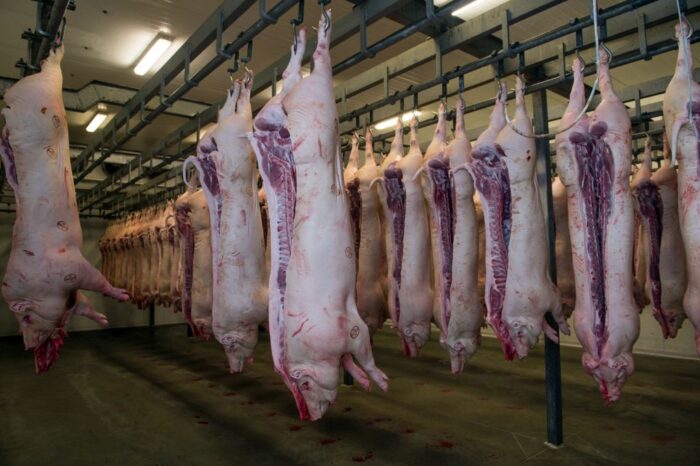 CO2, wodorotlenek sodu, kwas azotowy, zakłady mięsne, przetrwórcy mięsa, mięso, Anwil, Grupa Azoty, KRD-IG, ZPO, UPEMI