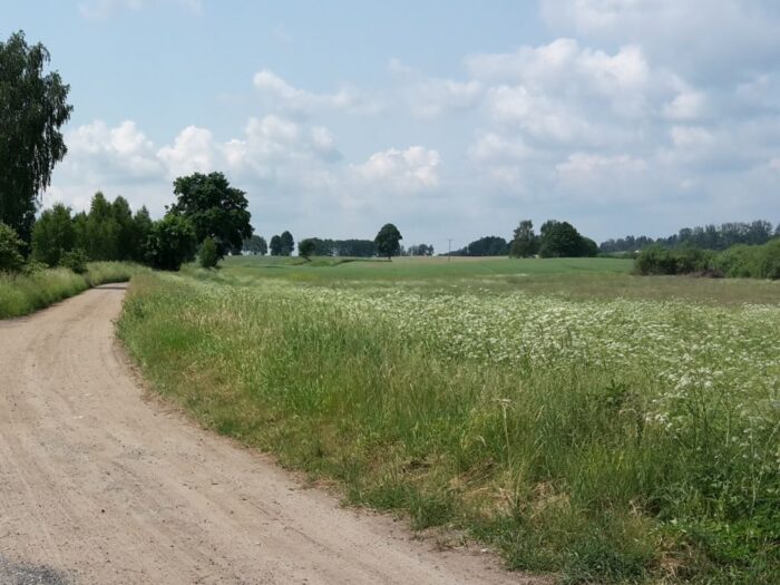 ugory, produkcja na ugorach