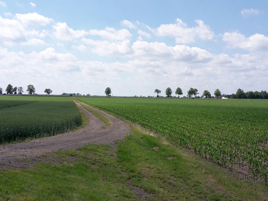 nawożenie, NIK, raport, gleba, uprawa, badanie gleby