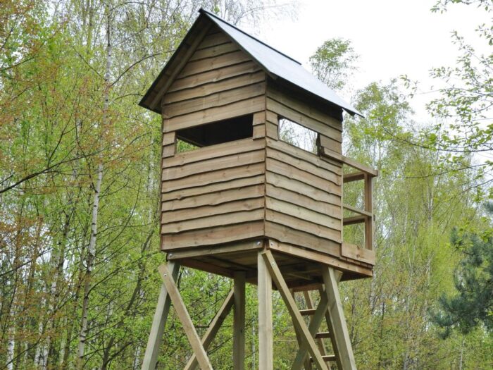 dzieci na polowaniach, prawo łowieckie, ustawa deregulacyjna, Bartłomiej Wróblewski