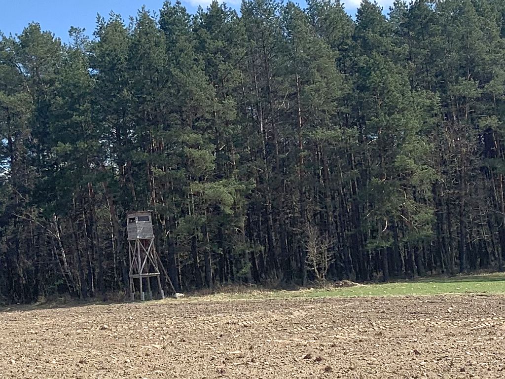 polowania, łowiectwo, myślwi, polowanie z krótką bronią