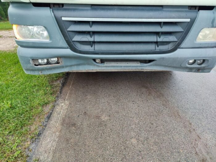 cielęna drodze, gmina Wierzbica, powiat chełmski, Ewa Czyż, KMP Chełm