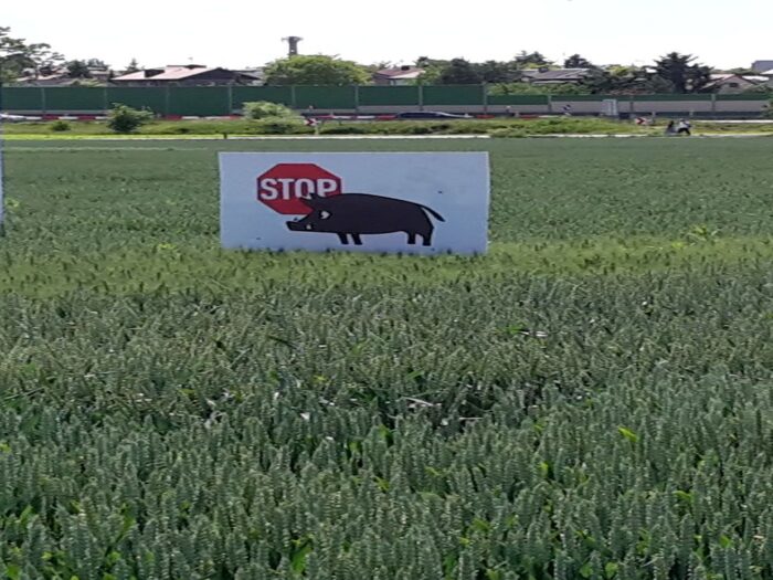 szkody, rolnicy, straty, prawo, przepisy, Prawo łowieckie, PIR, protest