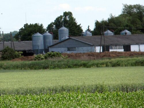 dopłaty dla rolników, Lubelska Izba Rolnicza, ceny żywności, inflacja