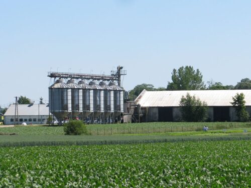 gospodarstwa rolne, powierzchnia użytków rolnych