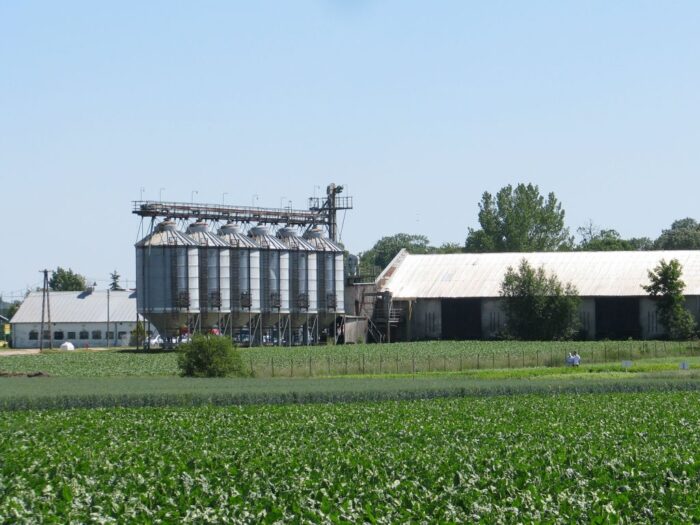 gospodarstwa rolne, powierzchnia użytków rolnych