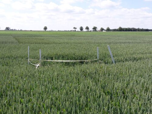 dochód z hektara przeliczeniowego, opłacalność produkcji rolnej, GUS