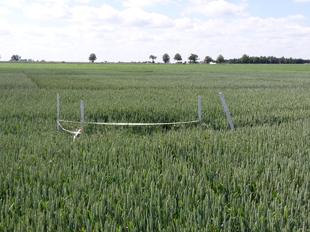 dochód z hektara przeliczeniowego, opłacalność produkcji rolnej, GUS